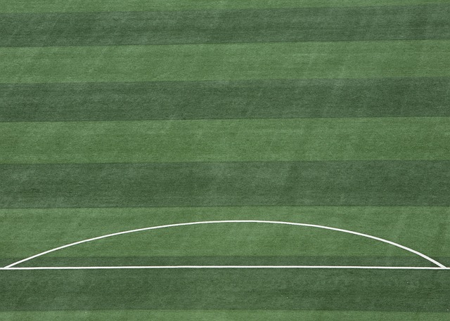 （粤港澳全运会）网球男子单打：奥运亚军张之臻战胜对手晋级