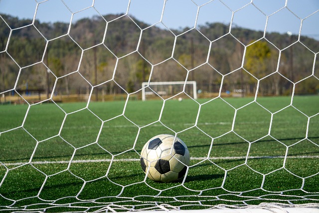 半场战报：勒沃库森0-1多特，安塞尔米诺头槌破门